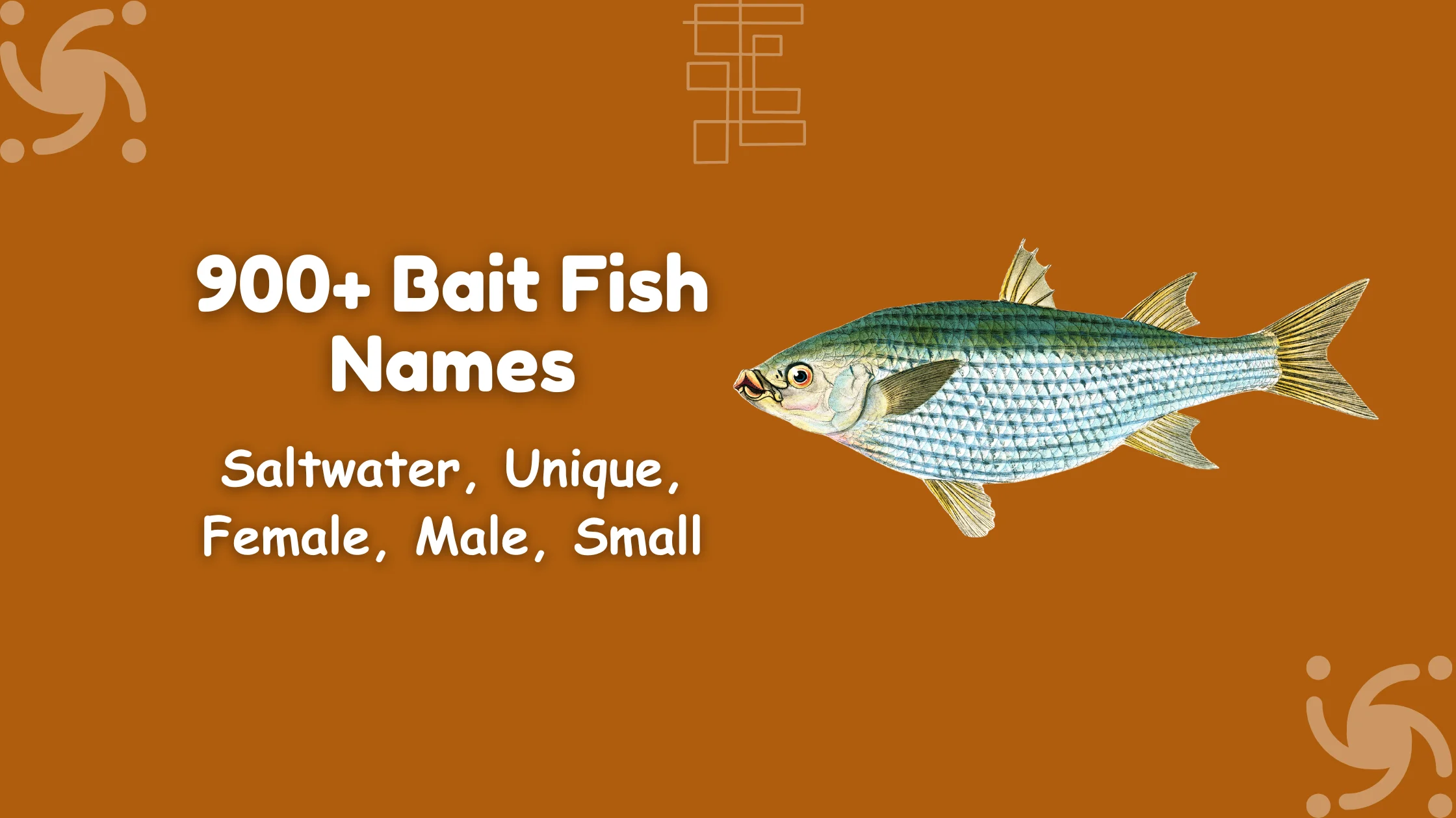 Bait Fish Names