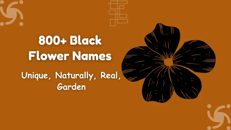 Black Flower Names