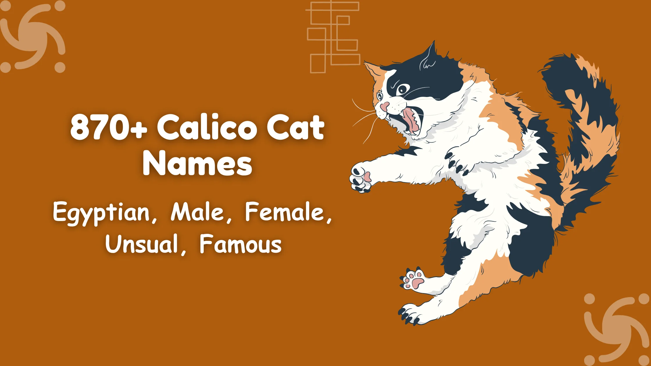 Calico Cat Names
