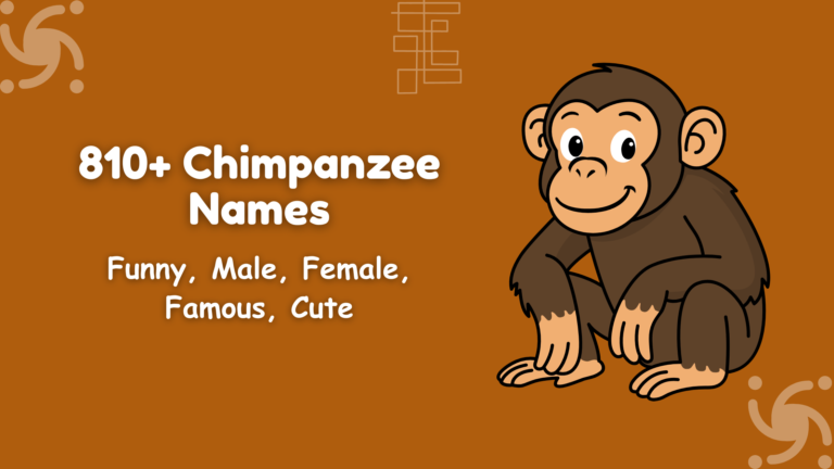 Chimpanzee Names