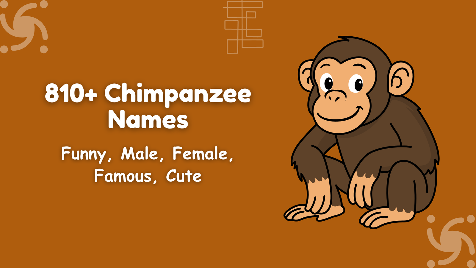 Chimpanzee Names