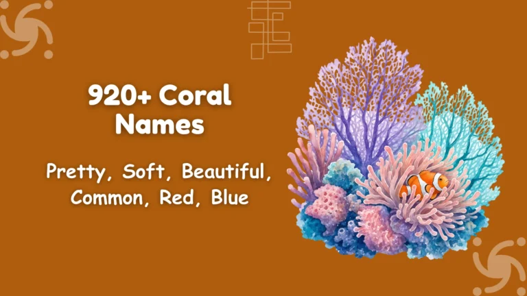 Coral Names