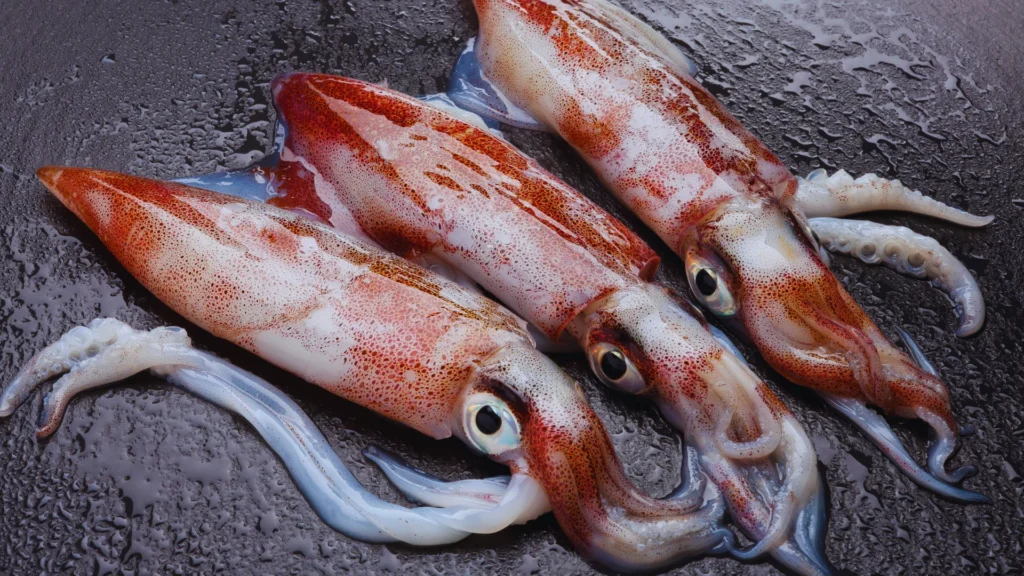 Cute Squid Names