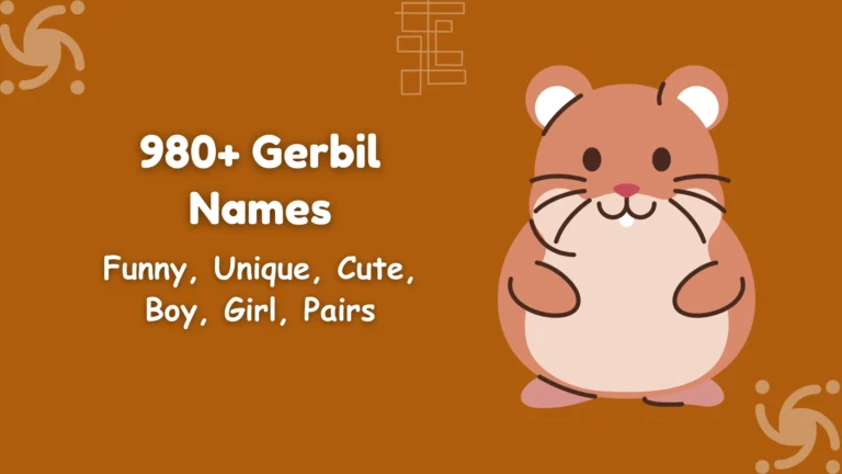 Gerbil Names