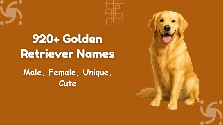 Golden Retriever Names