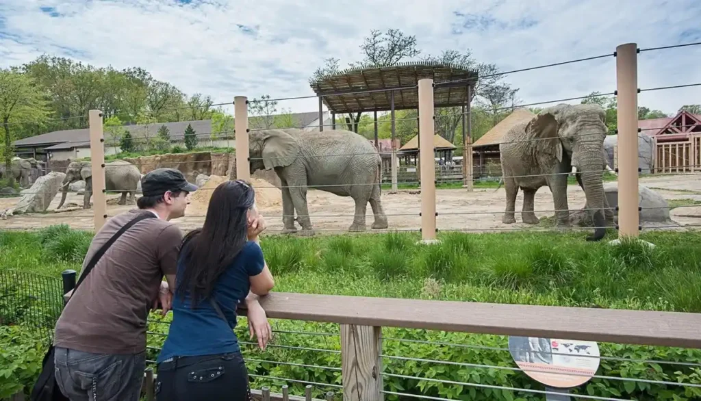 Good Zoo Names