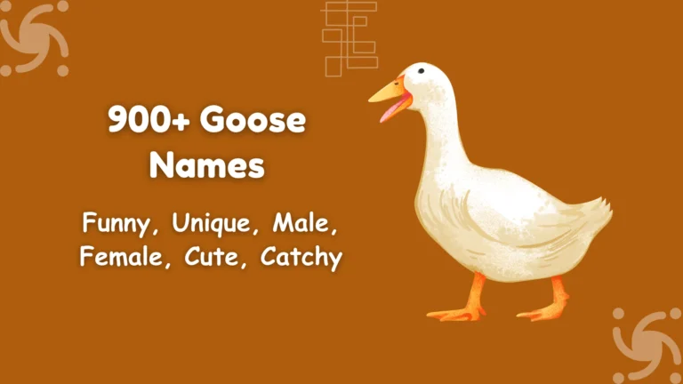 Goose Names