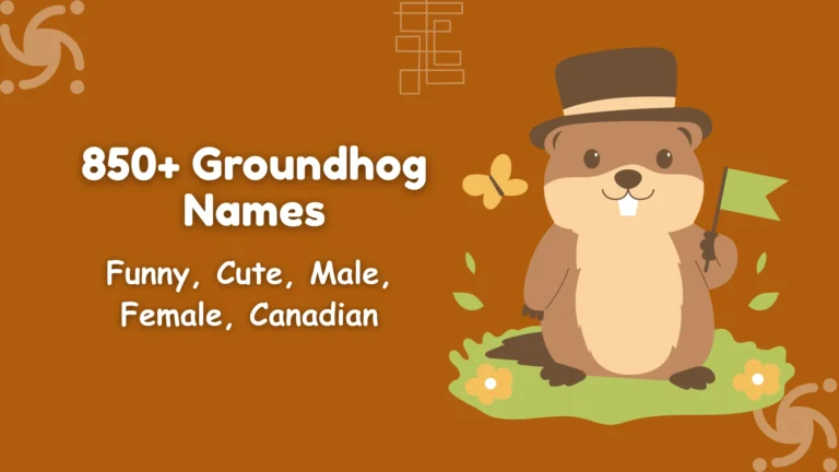 Groundhog Names