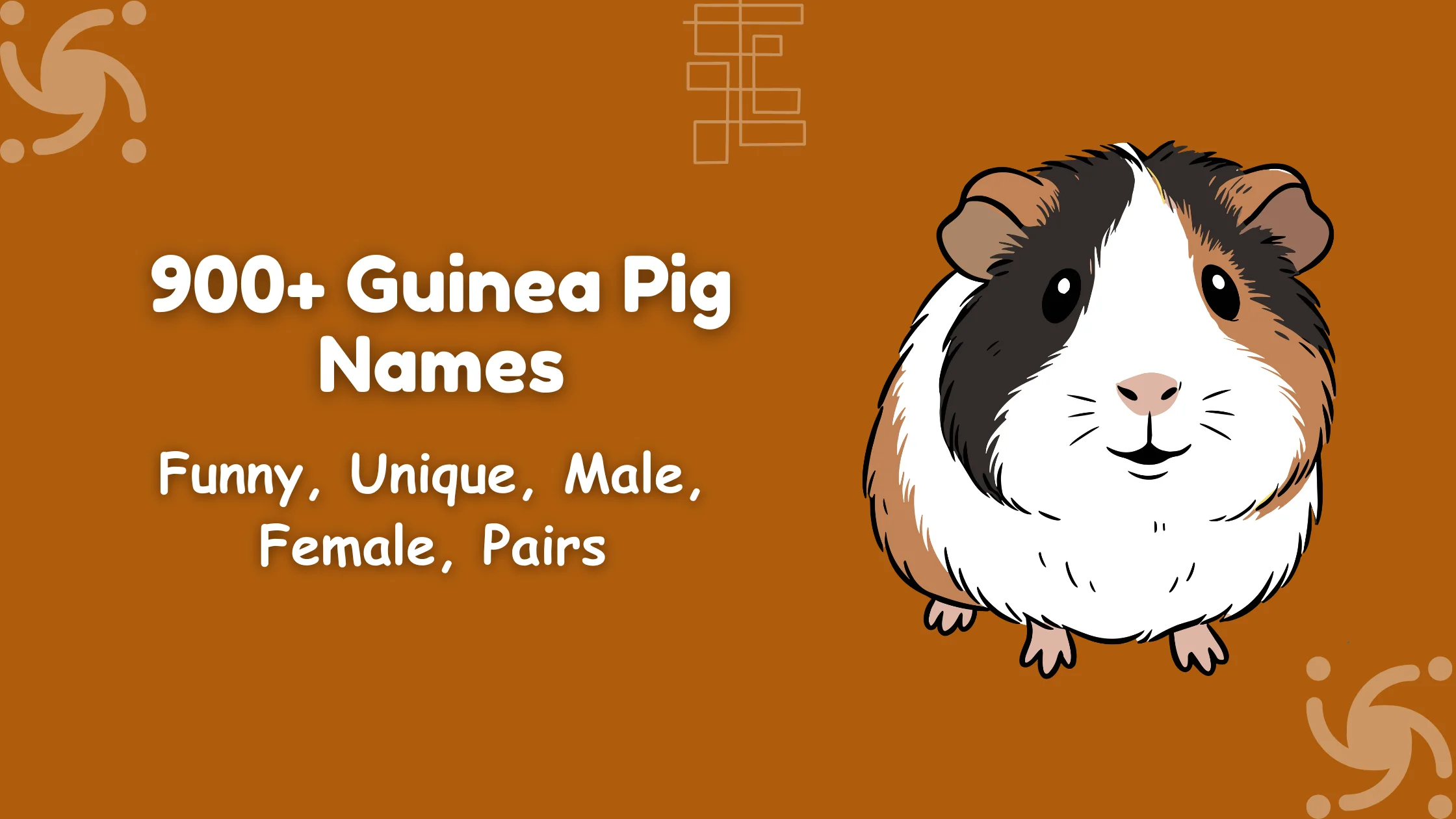Guinea Pig Names