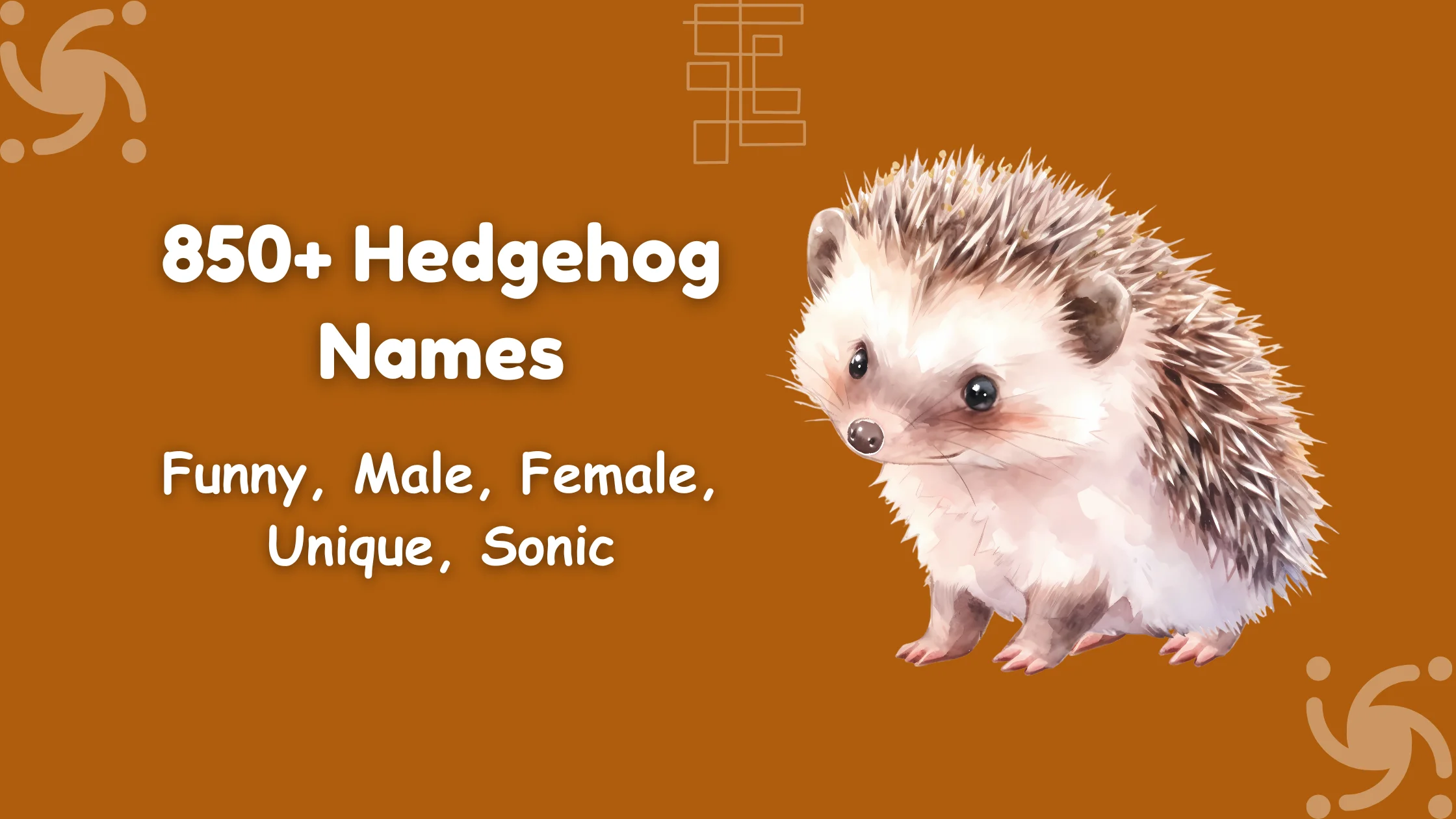 Hedgehog Names