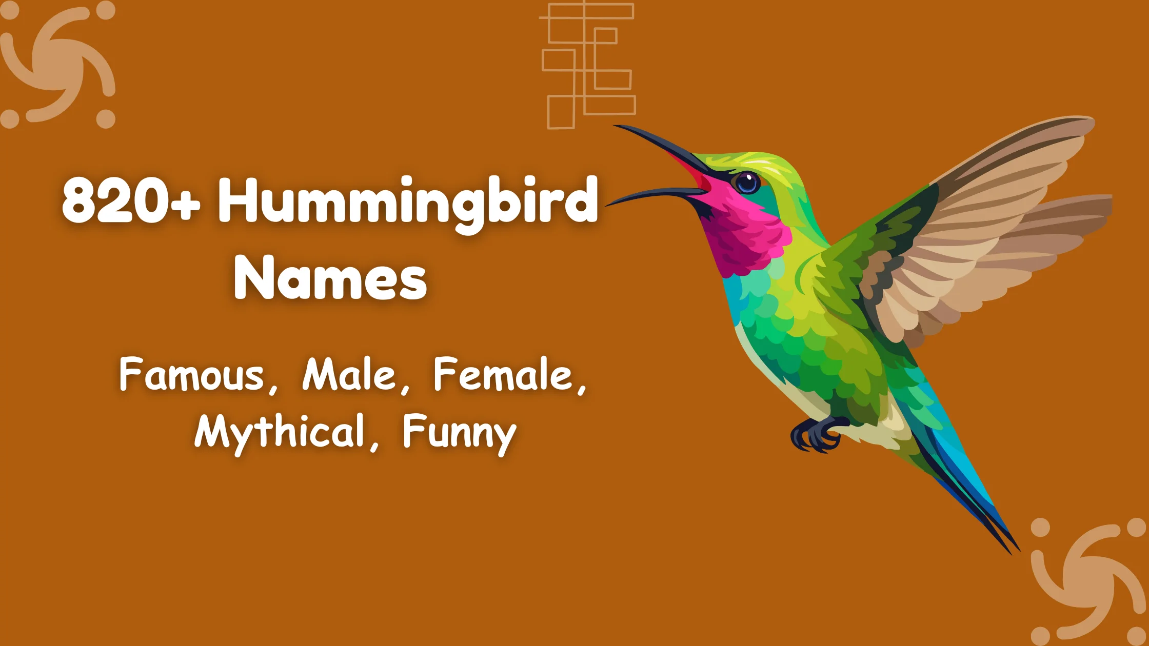 Hummingbird Names
