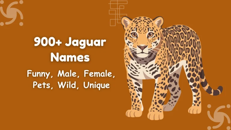 Jaguar Names