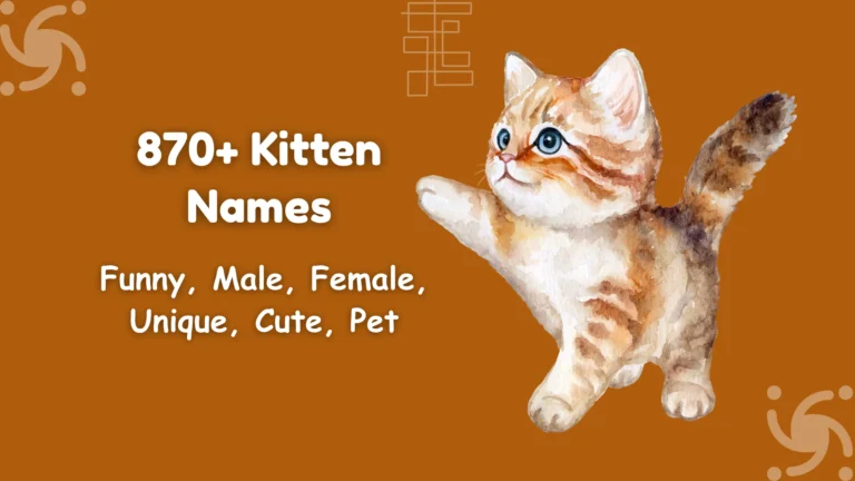 Kitten Names
