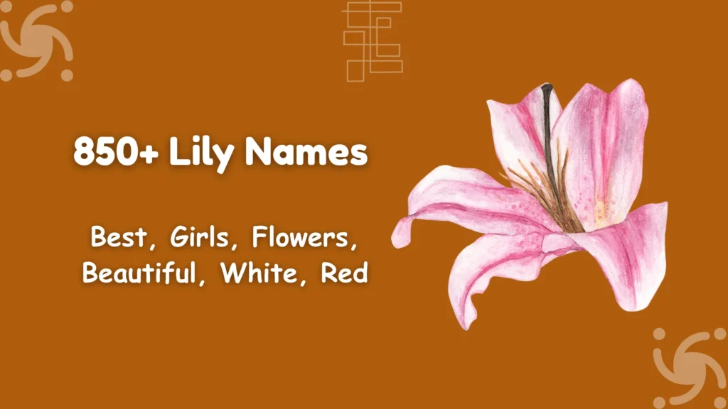 Lily Names