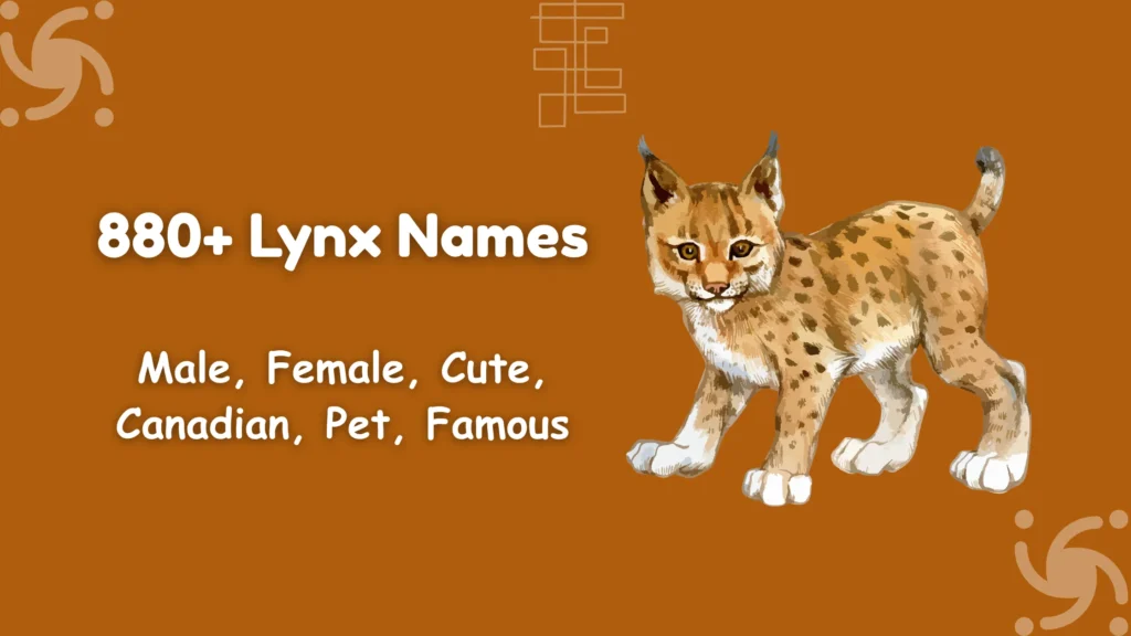 Lynx Names