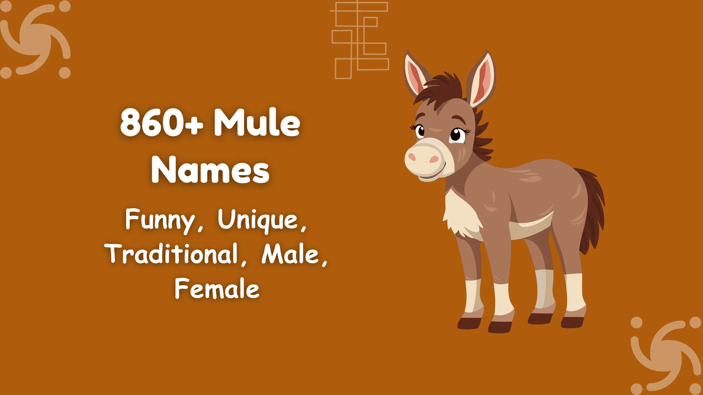 Mule Names