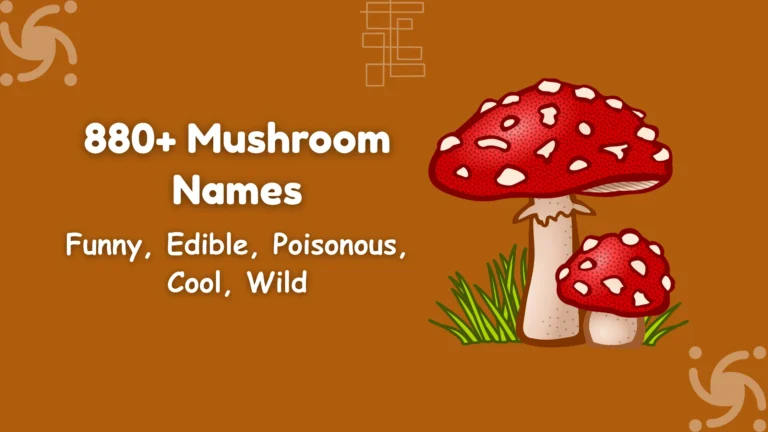 Mushroom Names