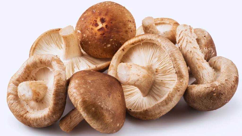 Mushroom Names For Humans