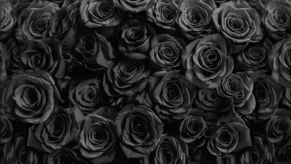 Naturally Black Flower Names