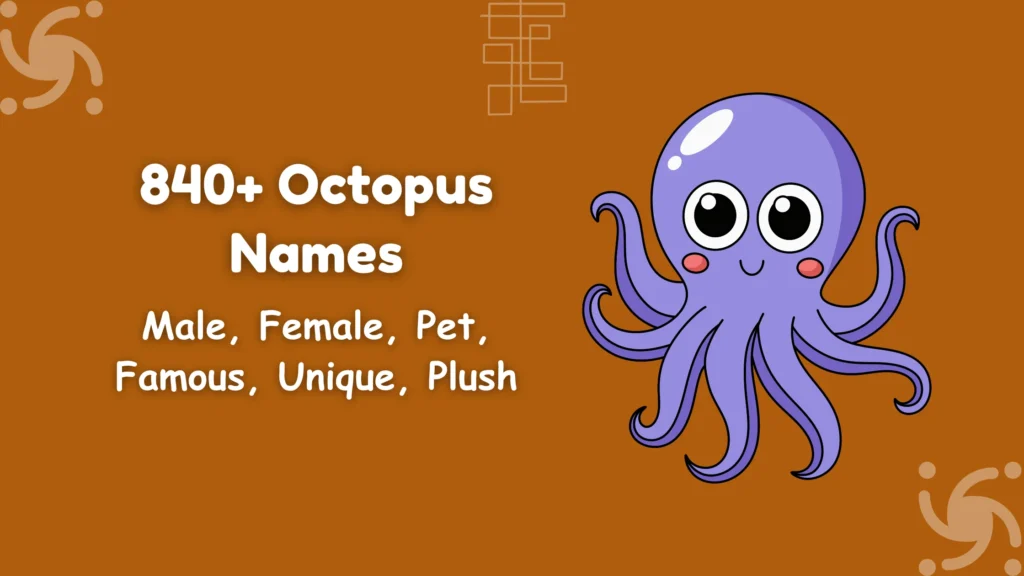 Octopus Names