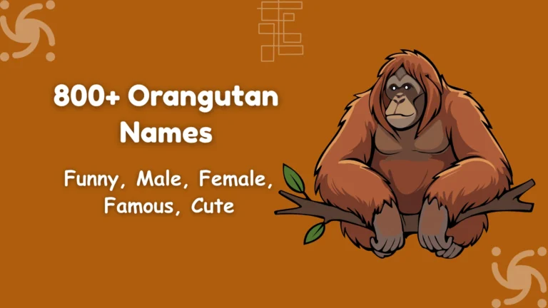 Orangutan Names