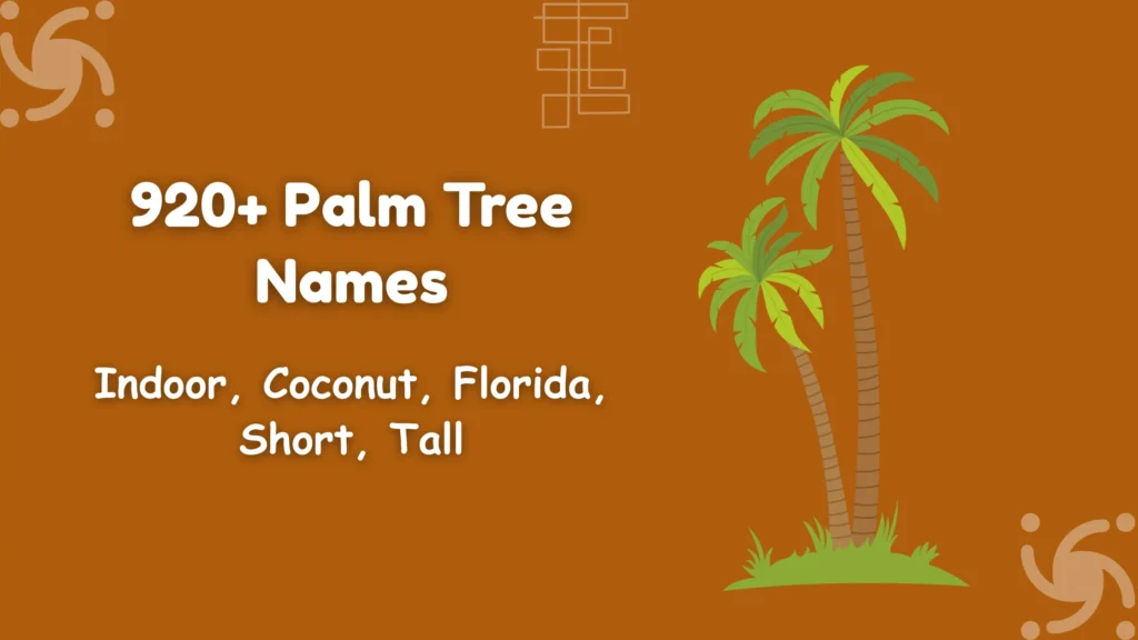 Palm Tree Names