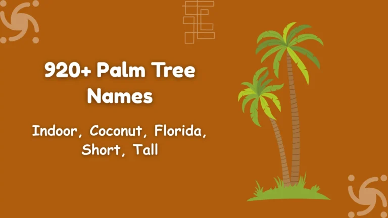 Palm Tree Names