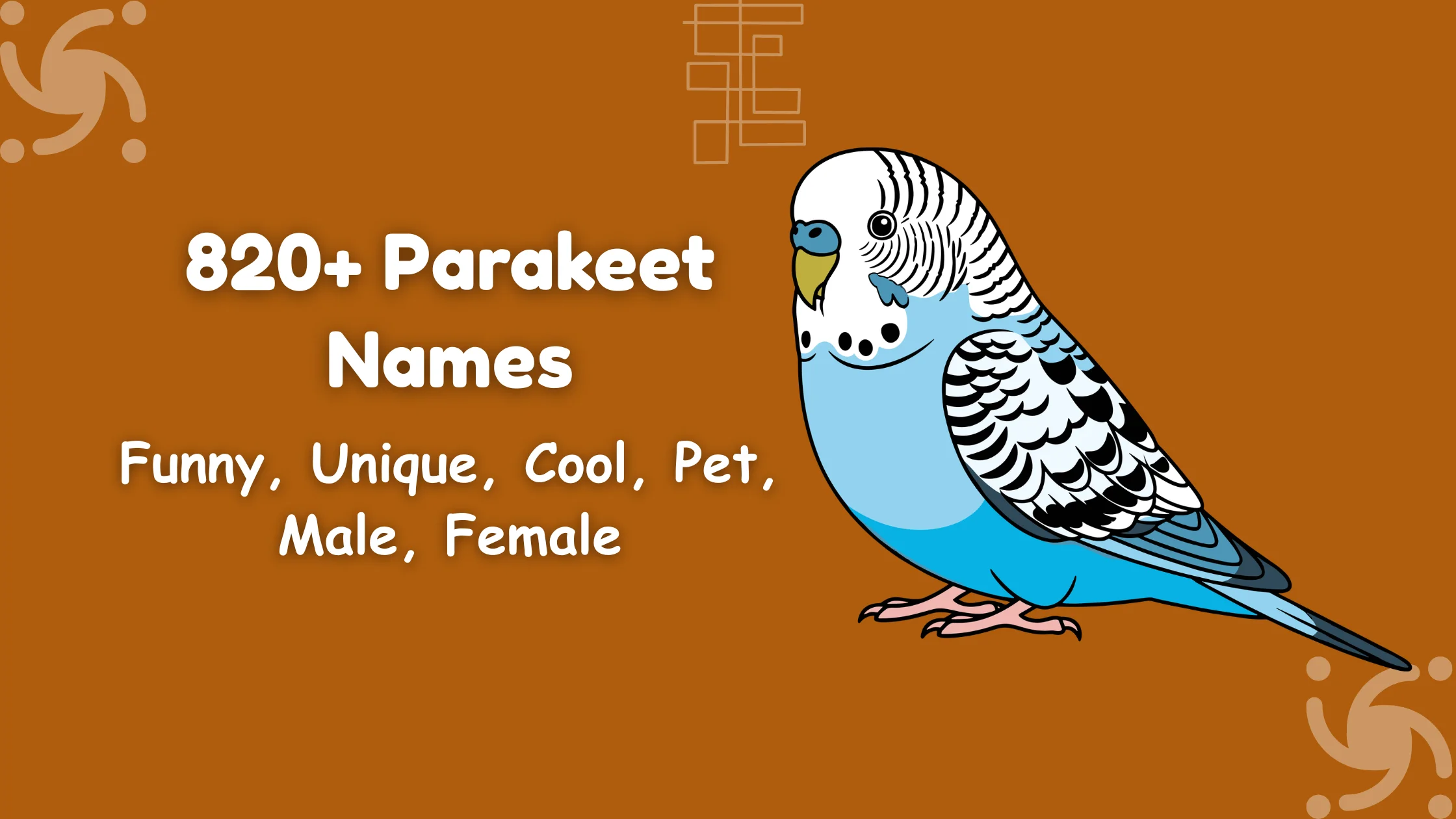 Parakeet Names