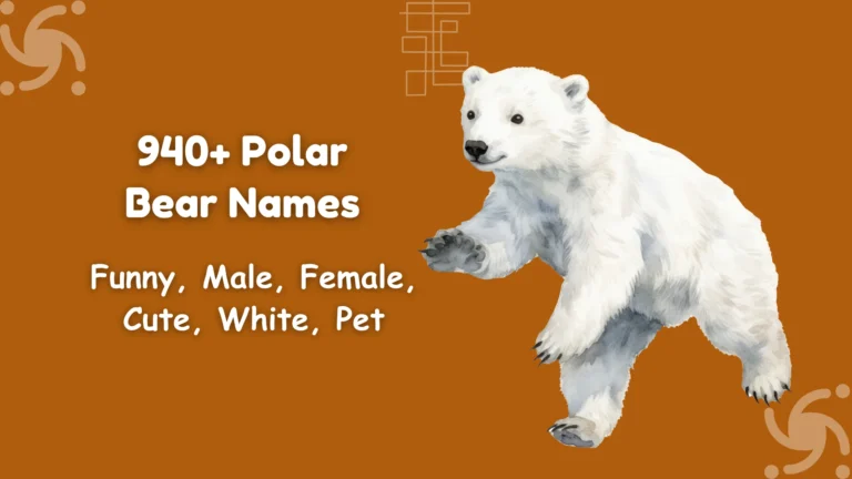 Polar Bear Names