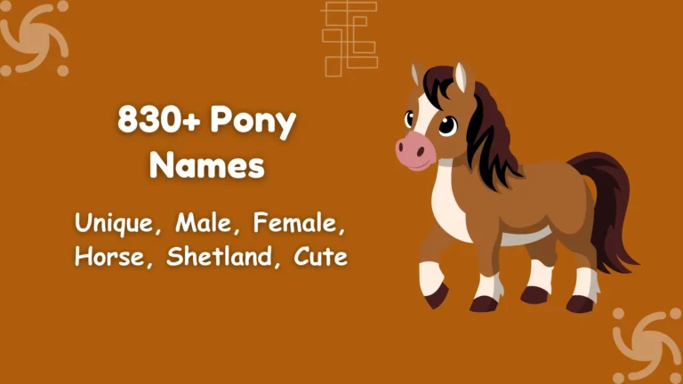 Pony Names
