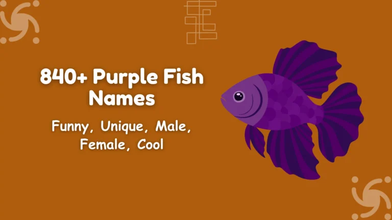 Purple Fish Names