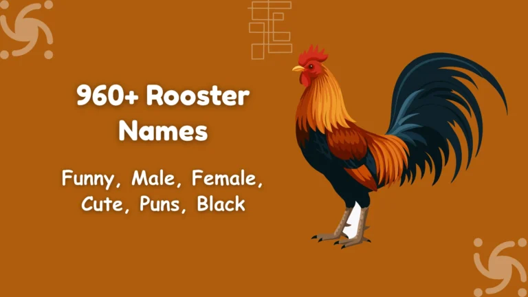 Rooster Names