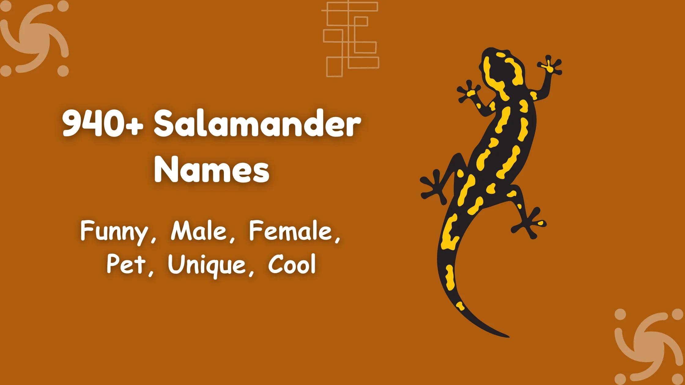 Salamander Names