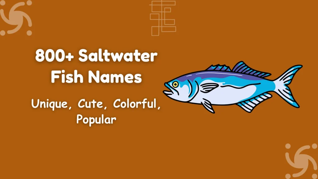 Saltwater Fish Names