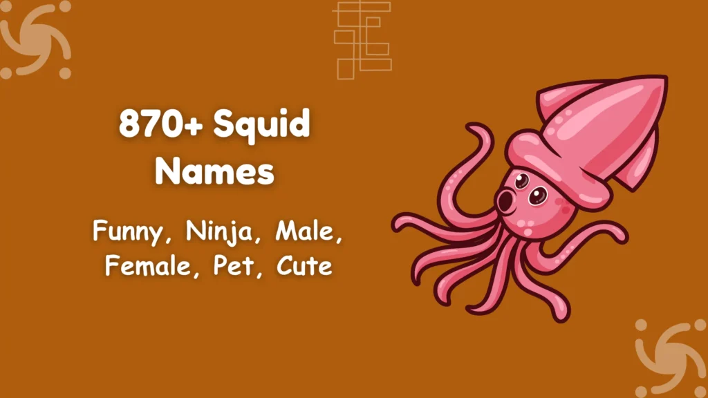 Squid Names