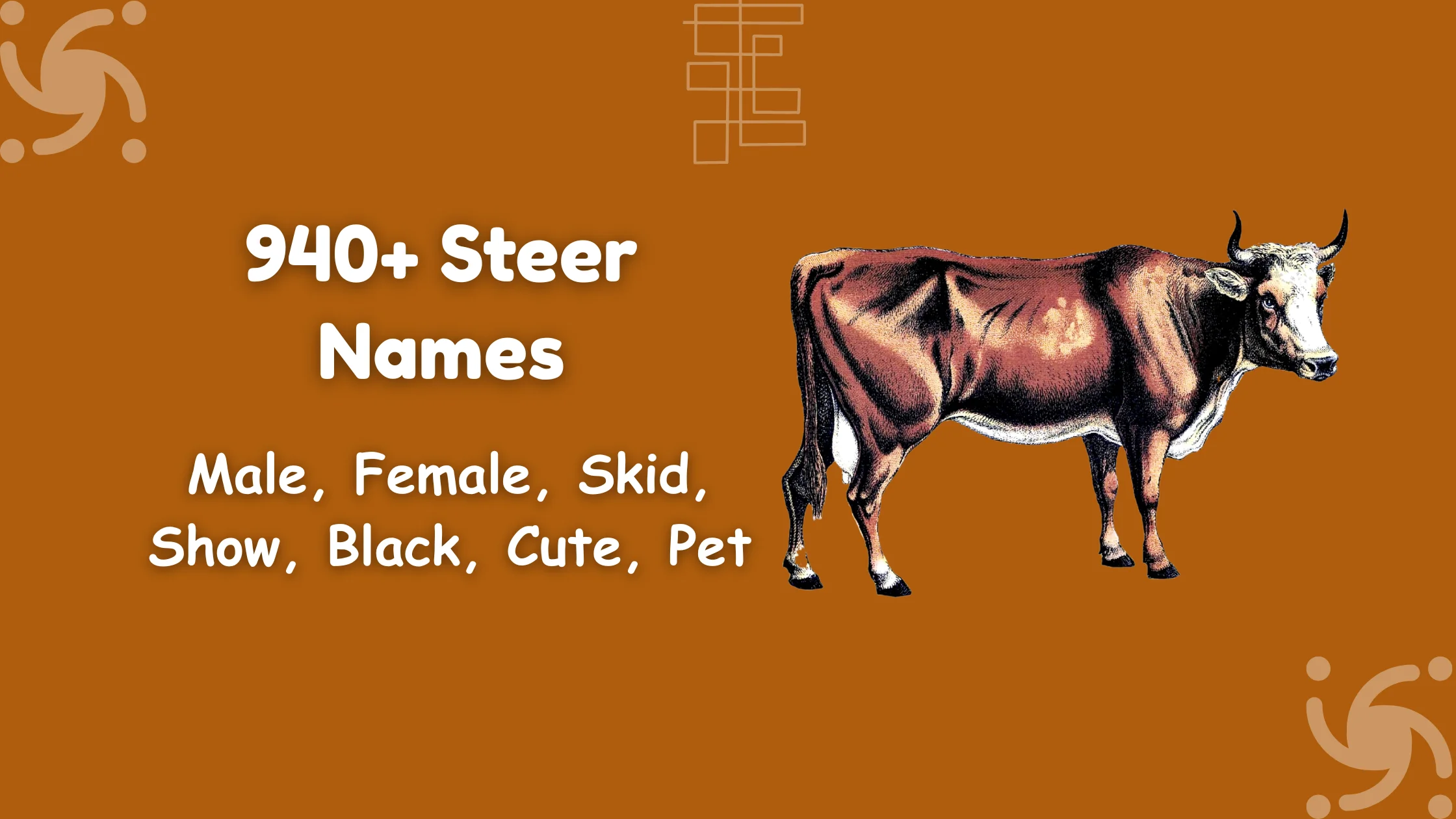 Steer Names
