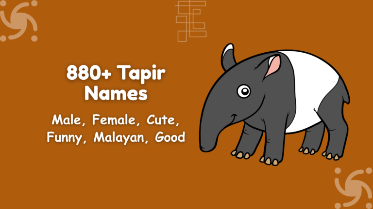 Tapir Names