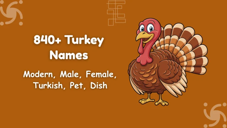 Turkey Names