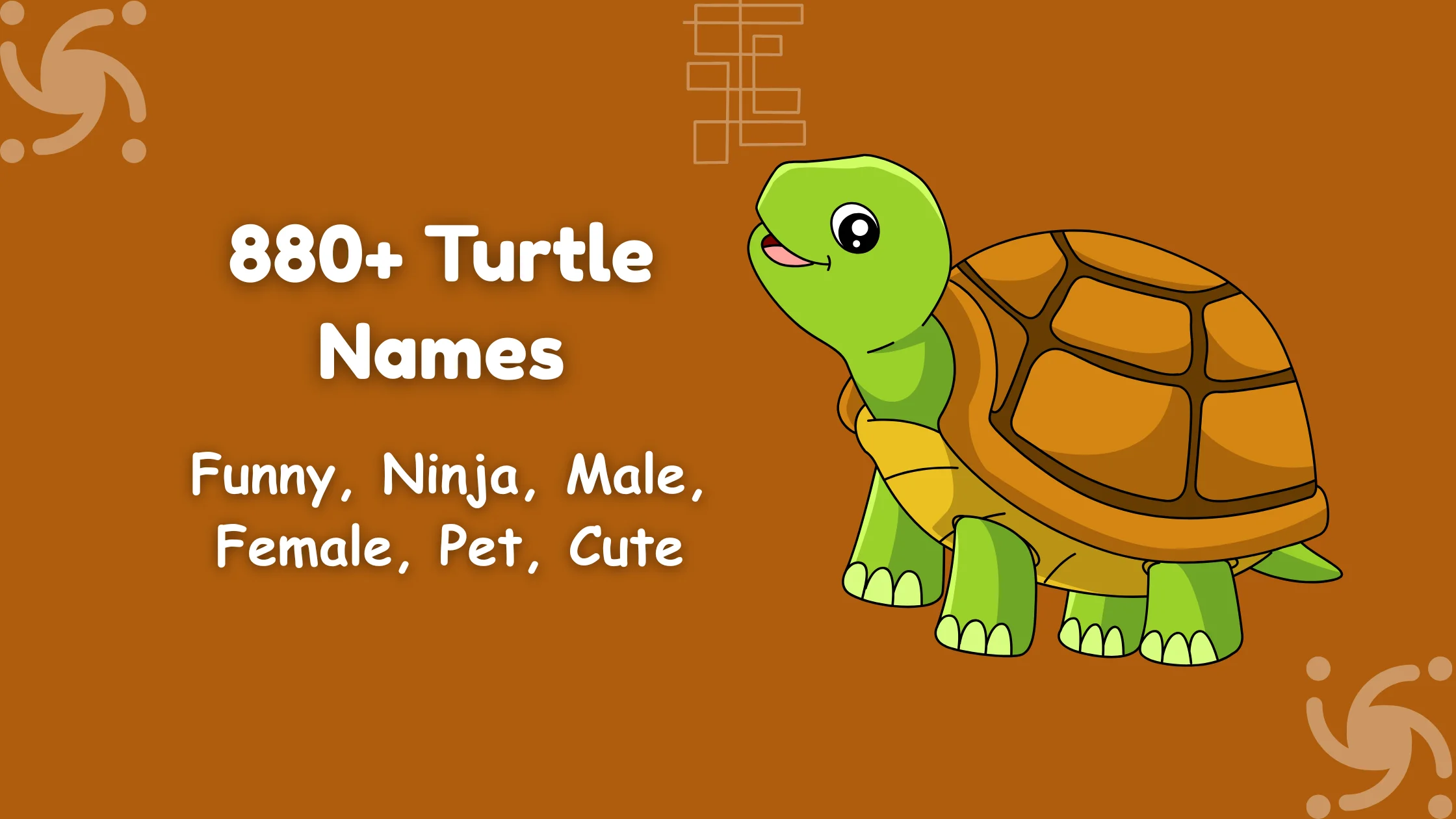 Turtle Names