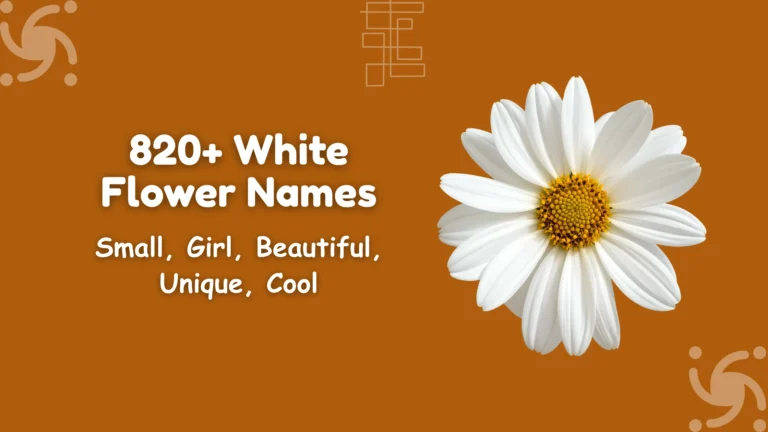 White Flower Names