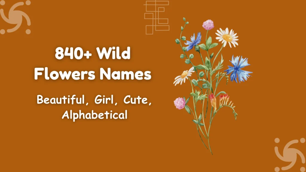 Wild Flowers Names