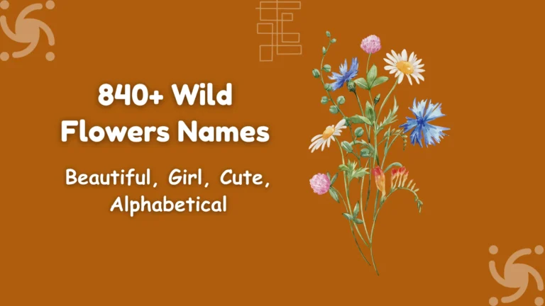 Wild Flowers Names