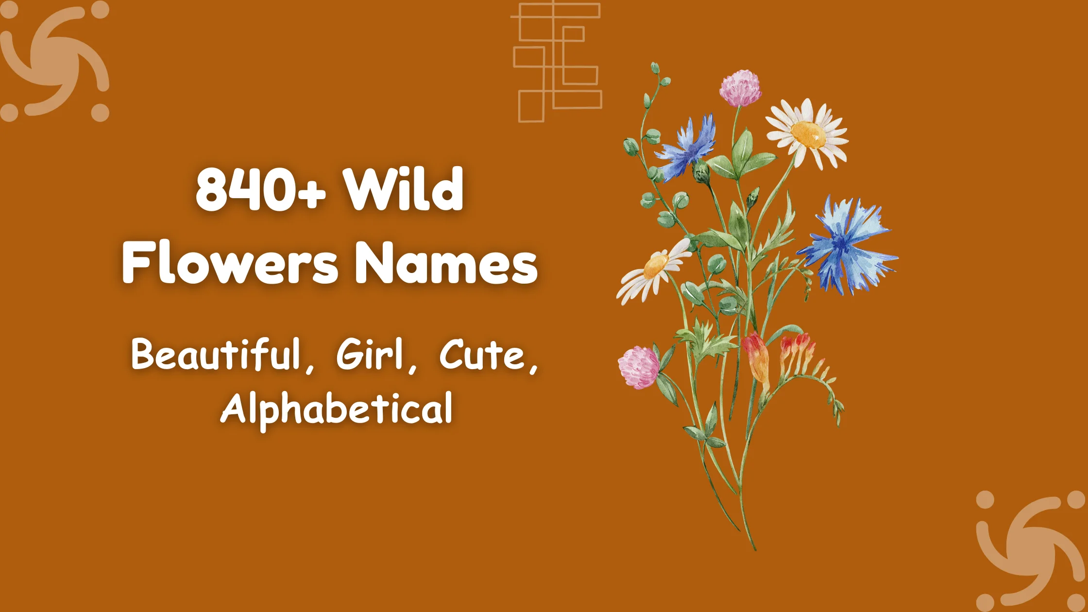 Wild Flowers Names