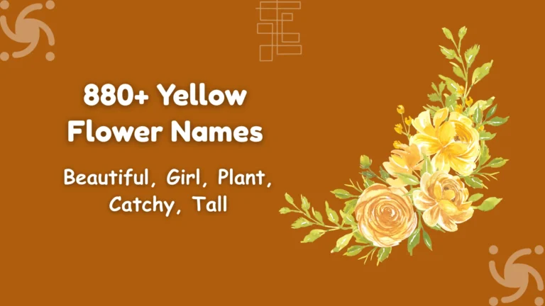 Yellow Flower Names