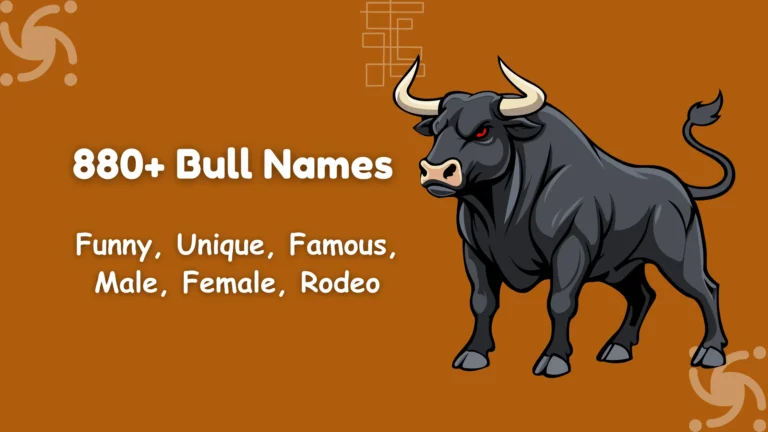 Bull Names