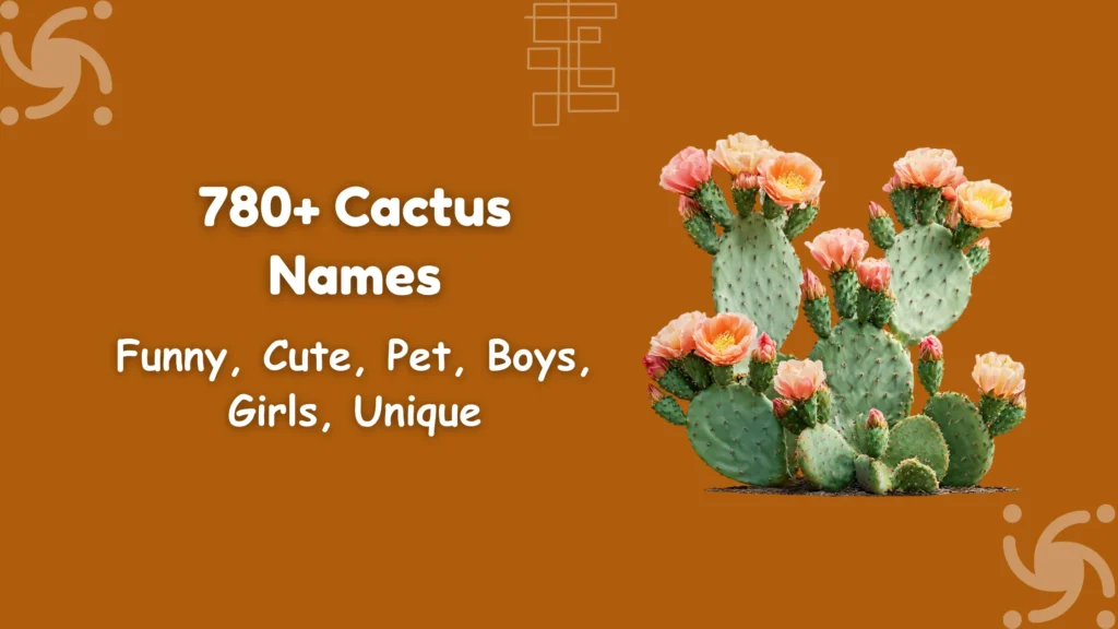 Cactus Names