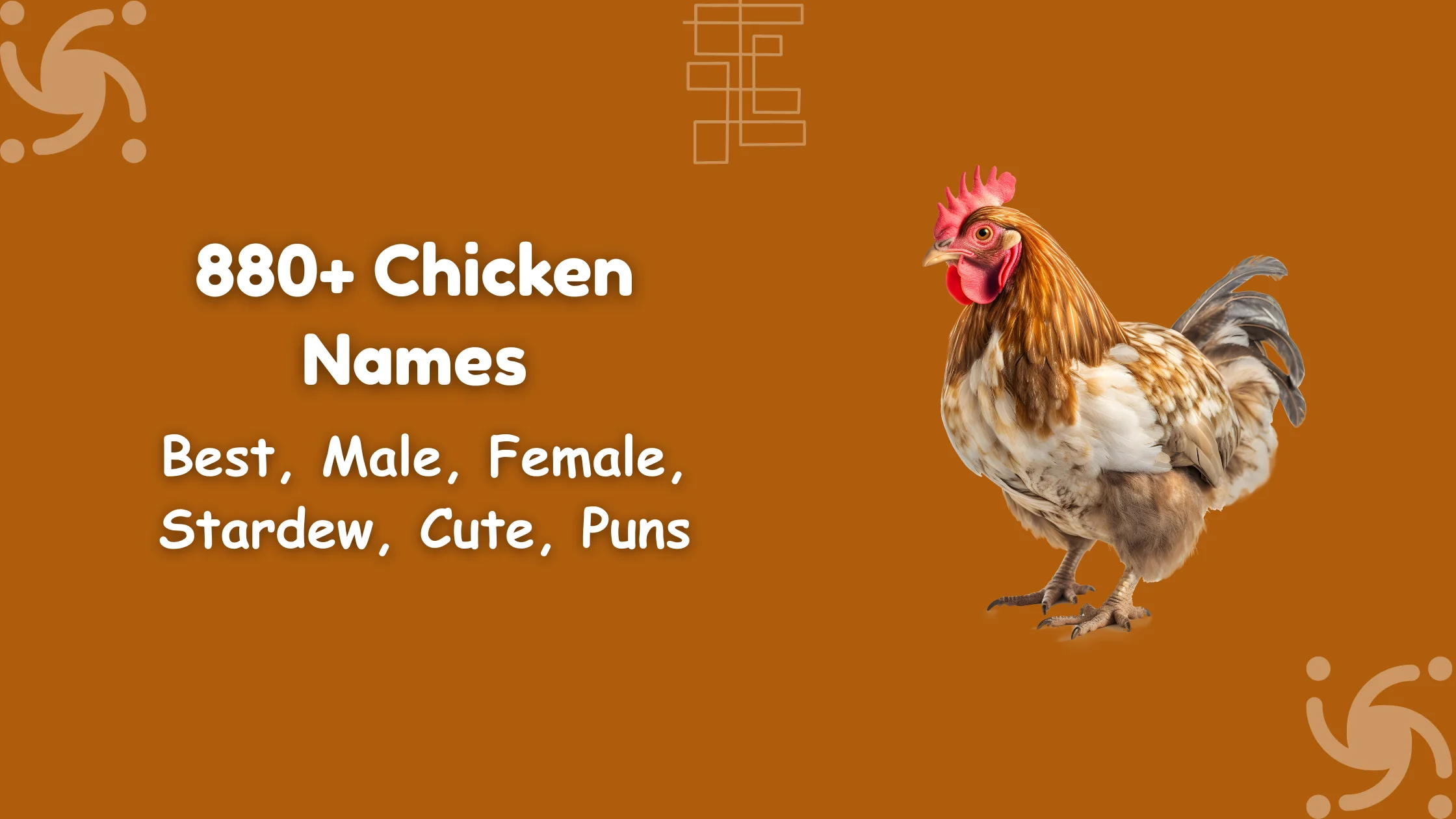 Chicken Names