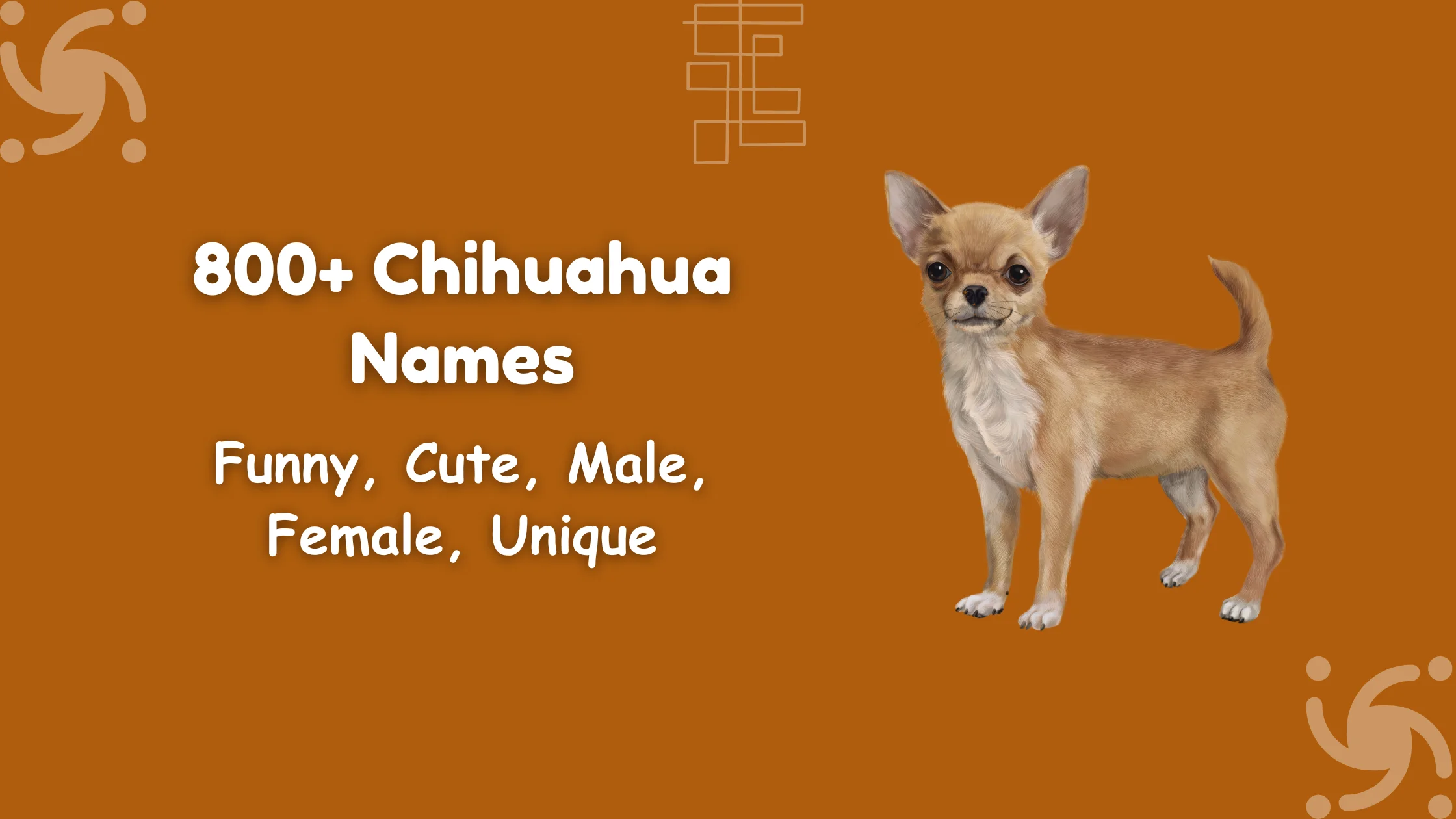 Chihuahua Names