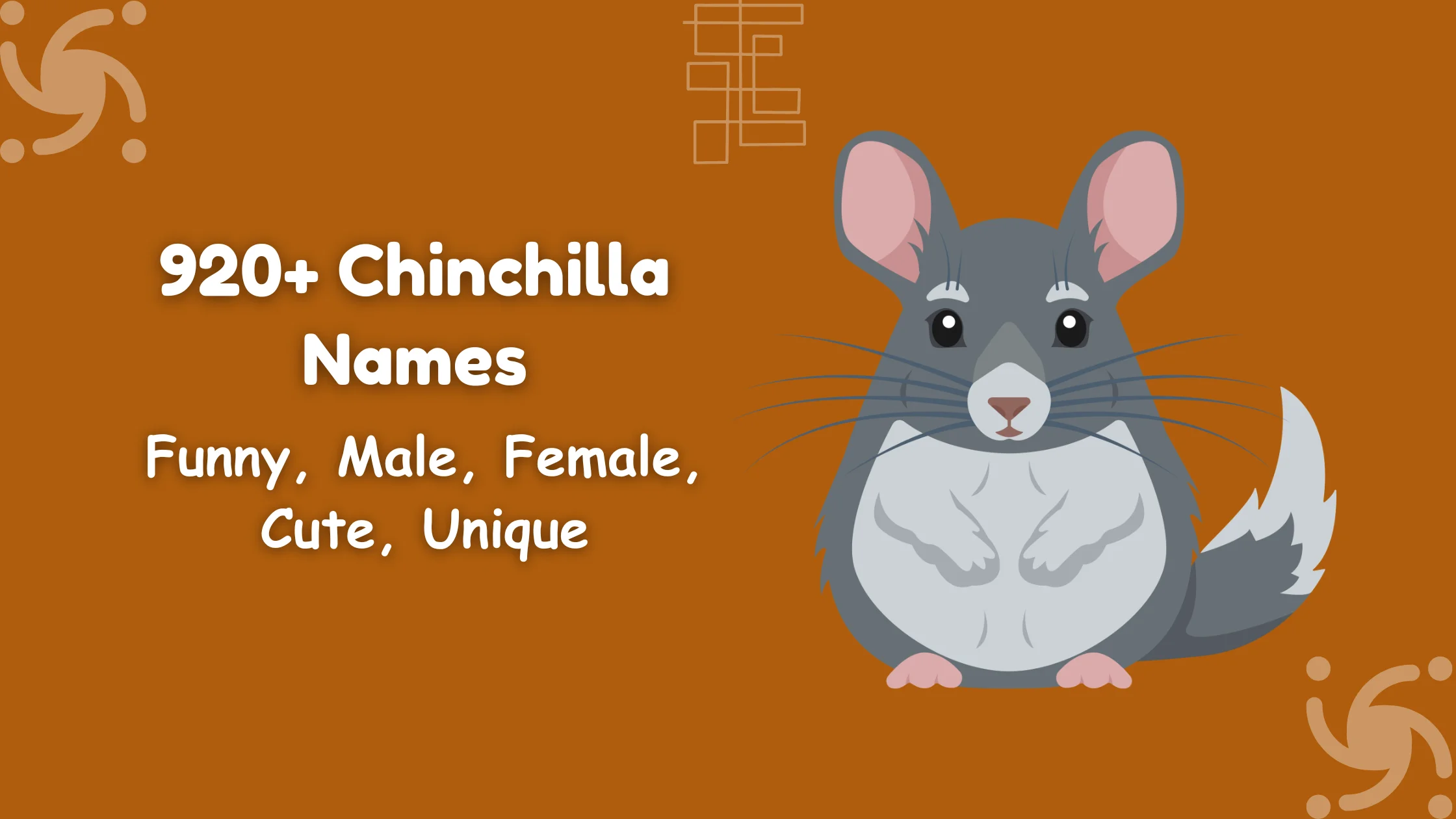 Chinchilla Names