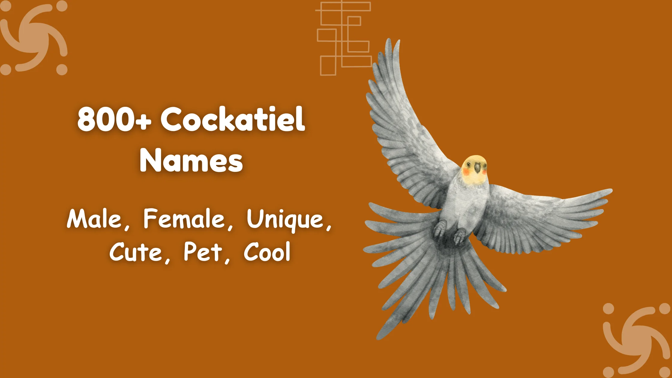 Cockatail names